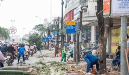 Vụ chặt cây xanh: Hàng loạt cán bộ bị giáng chức, chuyển công tác