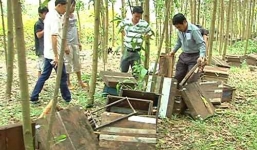 Người dân đập phá các trại ong mật vì sợ mất mùa