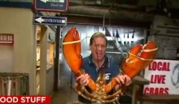 Bắt được tôm hùm khổng lồ 95 tuổi