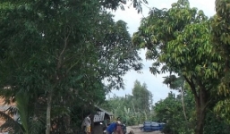 Đâm con trai nguy kịch rồi uống thuốc sâu tự tử