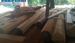 Cận cảnh thủ đoạn biến gỗ lậu thành gỗ hợp pháp