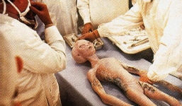 Đại gia chi 2 nghìn tỉ “săn lùng” người ngoài hành tinh