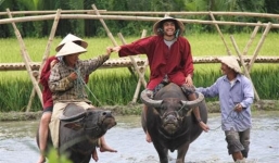 Nông dân lấn sân du lịch kiếm chục triệu đồng mỗi tháng