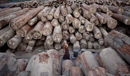 153 lâm tặc Trung Quốc bị Myanmar bỏ tù chung thân