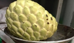 Giá đắt gấp 3 lần na Thái vẫn cháy hàng