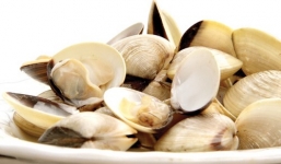 Món ăn từ trai, hến và những tác hại khôn lường