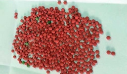 Bắt đối tượng tàng trữ gần 500 viên ma túy tổng hợp