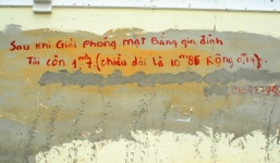 Bức tường 1 tỉ đồng sẽ bị thu hồi?