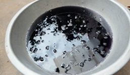 Hà Nội: Bàng hoàng nước trà hóa chè đỗ đen chỉ sau vài giây