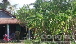 Bắt khẩn cấp gã con rể sát hại mẹ vợ giữa vườn chuối