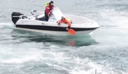 Con gái bất lực nhìn cha bị cá mập cắn chết