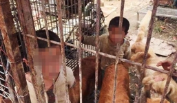 Bị cha mẹ bỏ rơi, 2 em nhỏ phải sống cùng, tranh cơm với chó