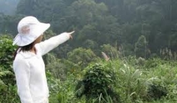 “Yêu râu xanh” chặn xe, giở trò đồi bại với phụ nữ ở bìa rừng