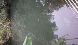 Tin mới vụ nam sinh chết dưới ao, cổ quấn 3 vòng xích chó ở Hà Giang