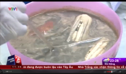 Video: Thí nghiệm luộc ngô, khoai bằng bột thông cống