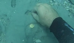 Video: Tìm thấy kho vàng trị giá 1 triệu USD trong xác tàu đắm 300 năm