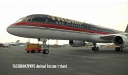 Nội thất xa hoa trong siêu máy bay của ứng cử viên tổng thống Mỹ