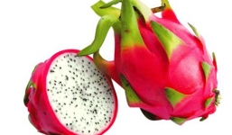 Lợi ích tuyệt vời cho sức khỏe từ quả thanh long