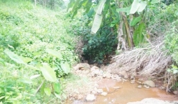 Nghi án mẹ vứt con 1 tháng tuổi xuống suối do giận nhà chồng