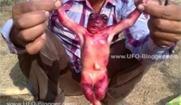 Bắt gặp sinh vật giống người dưới lòng đất Ấn Độ