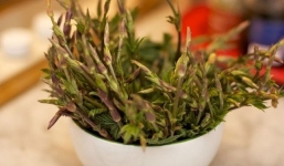 Sốc loại rau giá 28 triệu/kg đại gia săn lùng