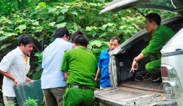 Phát hiện két sắt cùng 6 sổ tiết kiệm bên vệ đường