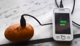 Tuyệt chiêu sạc pin cho điện thoại bằng... khoai tây