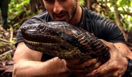 Video: Tay không bắt trăn Anaconda khổng lồ