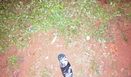 Đâm một phụ nữ tử vong rồi uống thuốc diệt cỏ tự tử