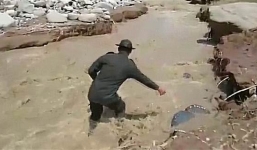 Video: Chú chó được cứu giữa dòng lũ dữ gây xúc động mạnh