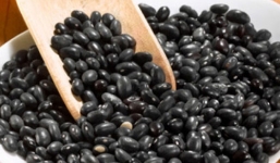 Đậu đen và những lợi ích đối với sức khỏe