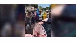 Video: Cá mập voi quý hiếm thoi thóp sống bị cắt thành từng khúc giữa chợ