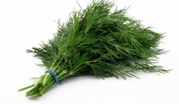 Công dụng chữa bệnh hiệu quả của cây thì là