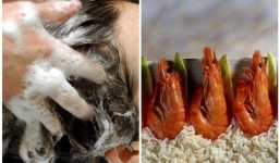 Công dụng dưỡng tóc 'thần kỳ' của vỏ tôm