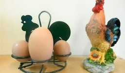 Video: Kì lạ quả trứng gà có 4 lòng đỏ với kích thước khổng lồ