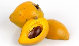 Lợi ích đối với sức khỏe của trái lê ki ma (quả trứng gà)