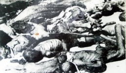 Toàn cảnh nạn đói khủng khiếp năm 1945 qua lời kể của nhân chứng sống