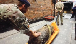 'Bom khủng' còn sót từ Thế chiến thứ II được tìm thấy, 150 người sơ tán