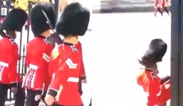 Video: Lính gác của Nữ hoàng Anh trượt chân ngã nhào trước mặt khách