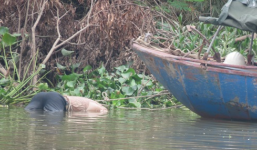 Đang đánh cá, phát hiện thi thể nam giới nổi trên sông