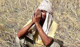 25.000 nông dân Ấn Độ xin tự tử vào ngày quốc khánh