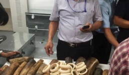 Phát hiện 4 kiện hàng nghi là ngà voi và sừng tê giác tại sân bay 