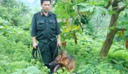 Hàng trăm cảnh sát bao vây dãy núi truy bắt kẻ sát hại 4 người ở Yên Bái