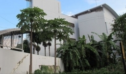 Biệt thự đại gia Sài Gòn bị đột nhập, mất gần 5 tỷ đồng