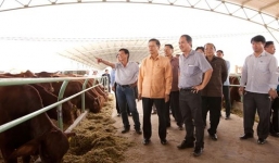 Bầu Đức bán bò lãi 766 tỷ đồng