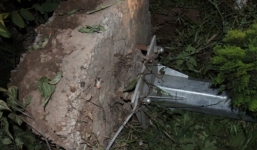 Hy hữu: Cột đèn đường bỗng nhiên đổ sập, hai người bị thương nặng