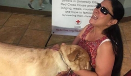 Chú chó điện thoại gọi 911 cứu chủ thoát chết