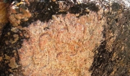 Bí ẩn kho báu Hố Giang