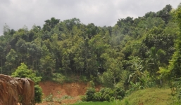 Giây phút vây bắt kẻ gây ra thảm sát Yên Bái trong rừng sâu