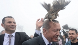 Video: Tổng thống Thổ Nhĩ Kỳ bị gà nhảy lên đầu, bám vào mặt